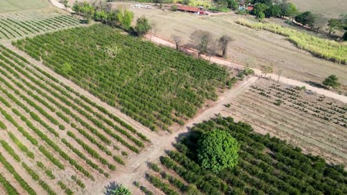 Rural countryside scenic aerial landscape. Countryside scenery.