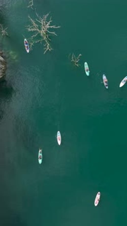 Vertical Video Paddleboard Adventure in a Magical Green Canyon with People Floating and Relaxing