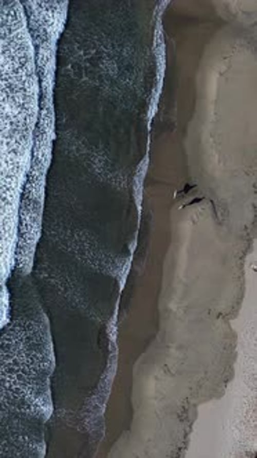 Surfers walking on the beach shore from above