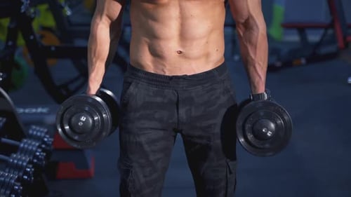 Man Lifting Weights Doing Bicep Curls at Gym