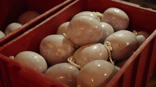 Production of Raw Dried Meat at the Factory