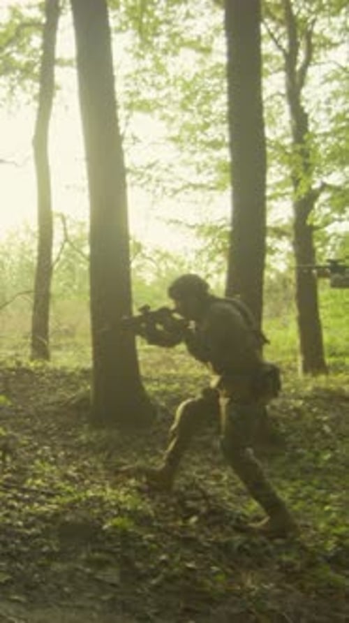 Tropas marcham pela ocultação de florestas Unidade militar realiza treinamento furtivo em meio a densos bosques