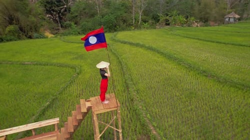 Rice Field in Luang Probang Laos