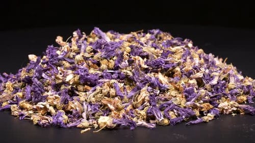 Footage Of Mallow On Black Background