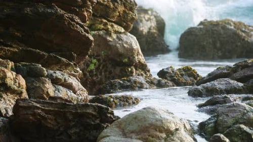 Ocean Waves Crash Against Mossy Rocks at a Sandy Beach During a Colorful Sunset Coastal Landscape