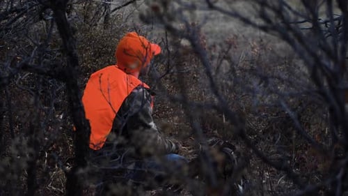 Hunter in Orange Vest Sitting in Bare Bushes