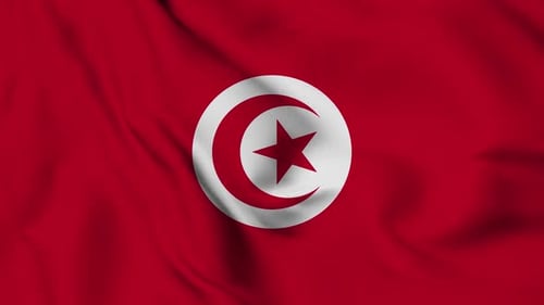 Realistic Waving Flag of Tunisia Loop Animation