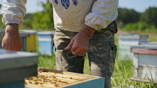 Farmer in a bee-garden. Beekeeper in a protective hat looking into beehives in an apiary in summer.
