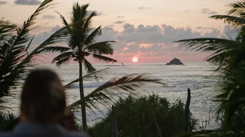 Tropical Coconut Trees Against Backdrop of Sunset Near Ocean in Southern Country Sun Sets on Warm