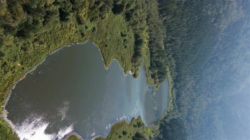 Aerial View of Lake and Green Trees in Forest Around Mountain Landscape