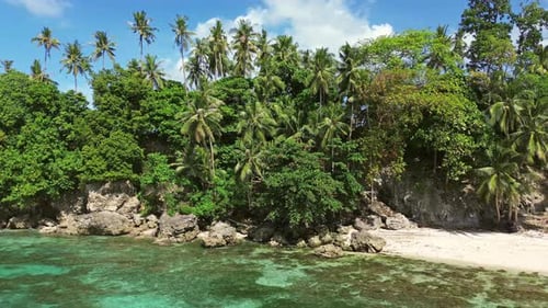 Tropical Beach with Turquoise Sea Water and Lush Green Palm Trees