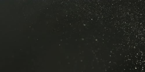 Small pieces of dust are sparkling