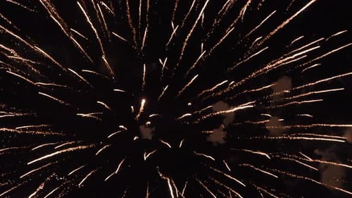 Bright Fireworks Exploding in a Dark Night Sky