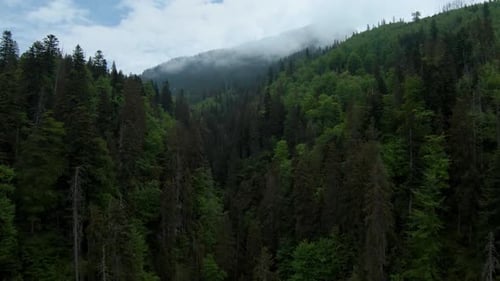 Flying Through the Clouds Close to the Mountains