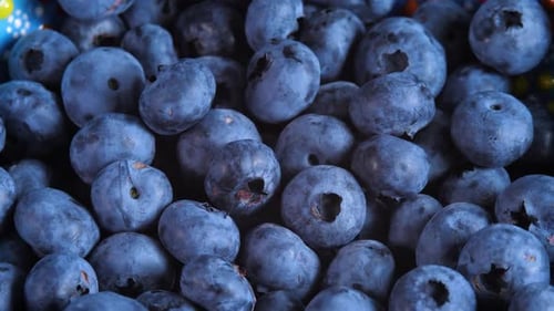 Fruits de myrtille crus