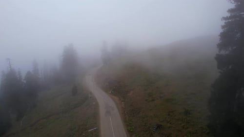 Car On The Foggy Road In The Mountain Forest