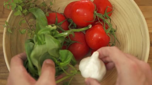 Man leaving a head of garlic and some fresh basil in a bowl full of red ripe tomatoes and some fresh
