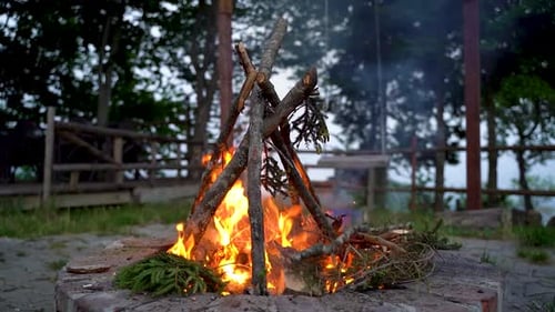 Woods burning in the campfire, slow motion