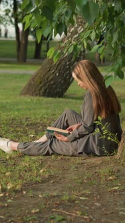 Woman Reading Book Sitting Under Tree in Park