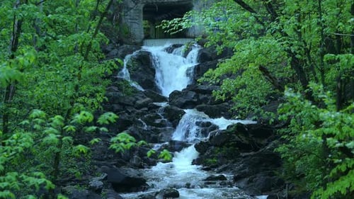 Long Shot of Waterfall Flowing with Green Tree Forest on Both Sides