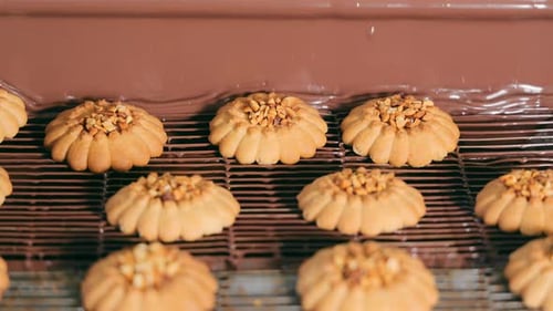 Cookies are Automatically Covered with Milk Chocolate in the Bakery The Concept of Making Cookies