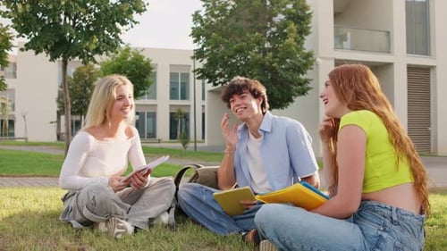 University Students Engaging in Lively Discussion on Campus Lawn