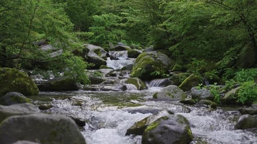 Tottori, Japan. Daisen National Park, Tranquil Cascading Mountain River