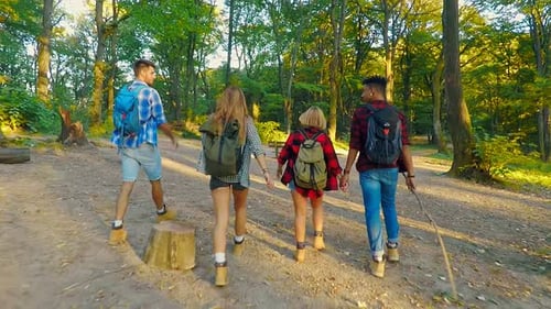Group of four friends hiking together through a forest.
