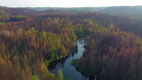 Aerial view of a winding river surrounded by dense, colorful forests under the soft light of the set