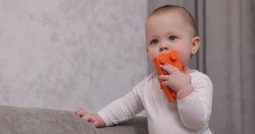 Adorable Infant Playing with a Toy Block