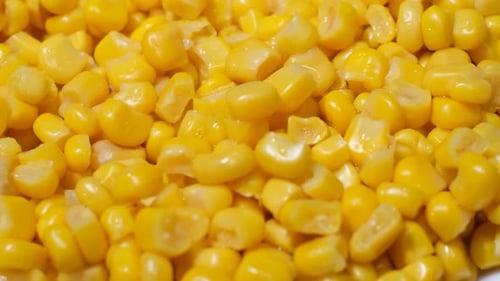 Closeup of Boiled Corn Seeds Spinning in a Circle