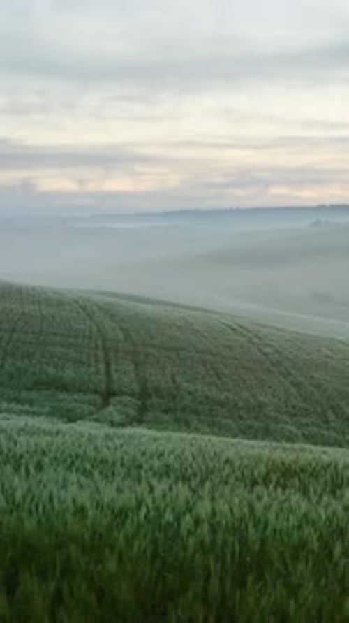 Tuscany Landscape Sunrise Farm House and Hills