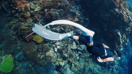 Woman Freediver Swims Underwater Over the Vivid and Healthy Coral Reef in Indonesia Female Freediver