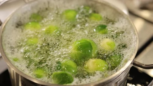 Boiling Sprouts Sprouts Pot Pot Boiling