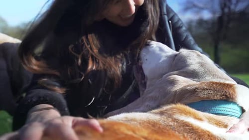 Attractive woman stroking her dog lovingly in a park.