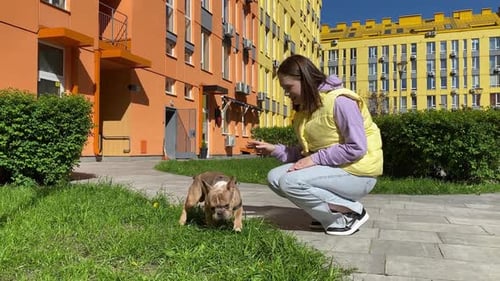 Cachorro marca território fazendo xixi no chão ao ar livre na cidade