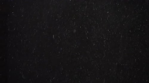 Snow Falling on Dark Background Overlay