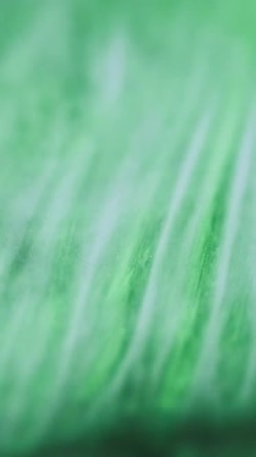 Vertical Sparkling Smoke Cloud Green Paint Wave