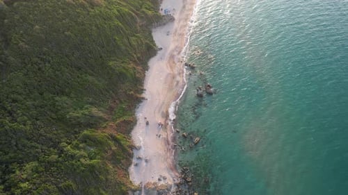 Aerial Tropical Beach