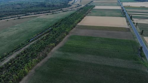 Train Passing Through Railway Covered With Densely Green Vegetation In Countryside Farmland. Aerial