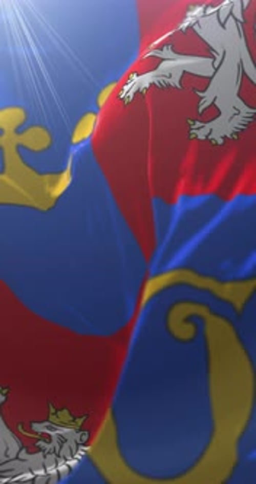 Vertical Animated Flag with Medieval Heraldry and Sunbeams