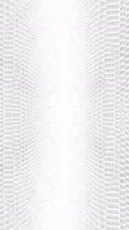 textura de fundo de paralaxe abstrata de pele de cobra branca Vídeo vertical