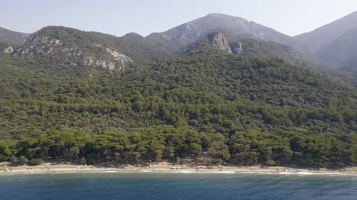 Drone Flies Over a Beach and Sea Bird Eye View