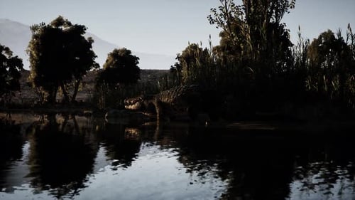 Crocodile se reposant près d'un plan d'eau calme en fin d'après-midi