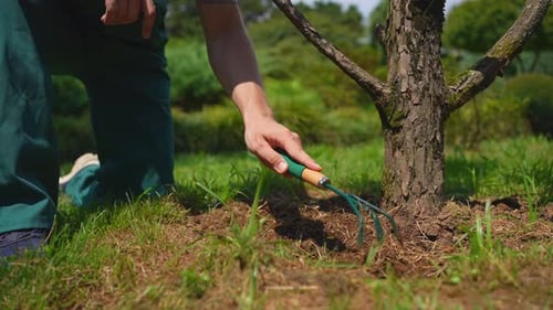 a Male Gardener in Uniform Takes Care of a Tree in a Japanese Garden Park Close Up