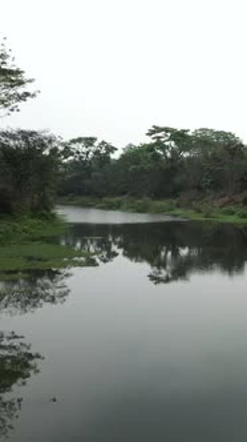 View Across the Water Surface of a River