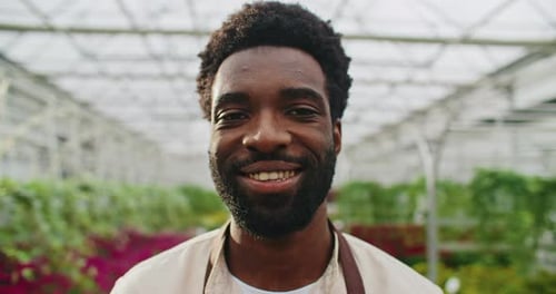 Close Camera View of Handsome African American Male with Beard and Glasses for Better Vision Looking
