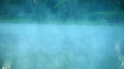 Mist Over Water/Fog Over Water Surface/Foggy Morning at Lake/Morning Mist Over Forest