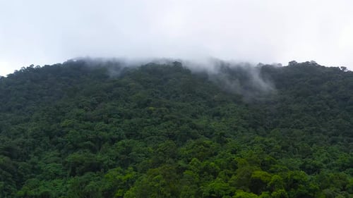 The Mountains are Covered in Rainforest Mountain Peaks in a Tropical Climate