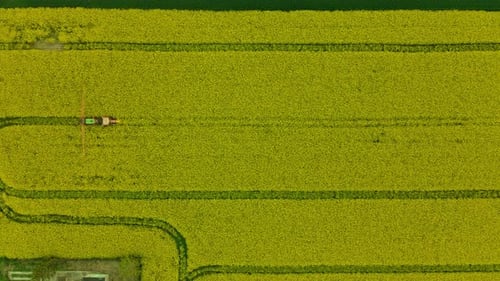 Aerial View Of Tractor With Boom Sprayer Spraying Pesticides On Yellow Fields Of Rapeseed In Lubawa,